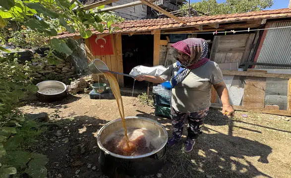 Konya bu dağlara sırtını veriyor: Bu erik sofraların baş tacı