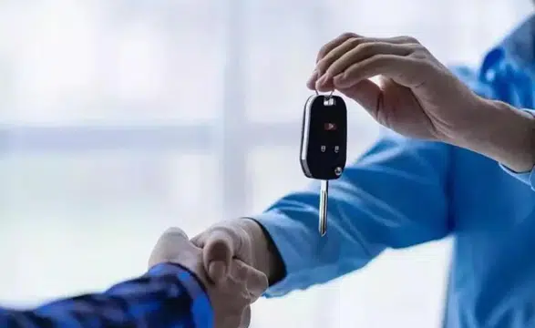 Sazan sarmalı dolandırıcılık nasıl işliyor: Bunları yapan tuzağa düşer