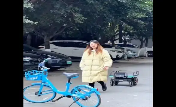 Pazar arabası ve hamallık bitiyor: Çinliler bu robotu üretti