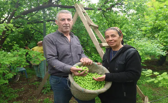 Can eriği canı oldu: Artık Avrupa'ya ihraç ediyor