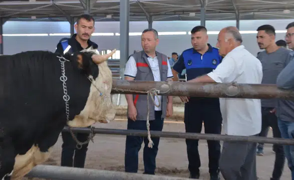 Kurbanın neresine bakılmalı: Uzmanından kurbanlık alacaklara uyarı