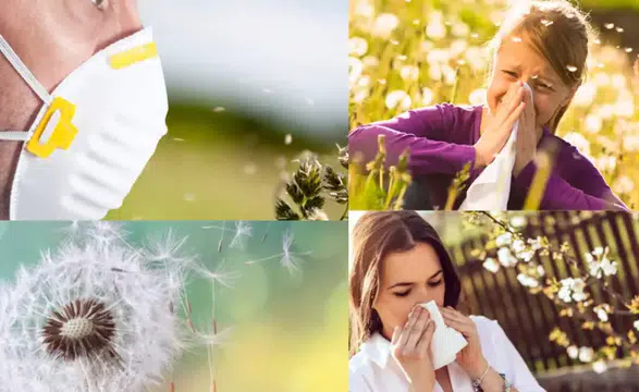 Polen öldürür mü: Uzmanlardan "bahar" uyarısı