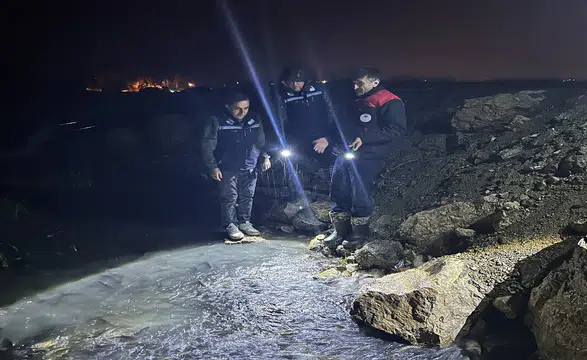 İnci kefali göçü başladı: Görsel şölen herkesi şaşırttı