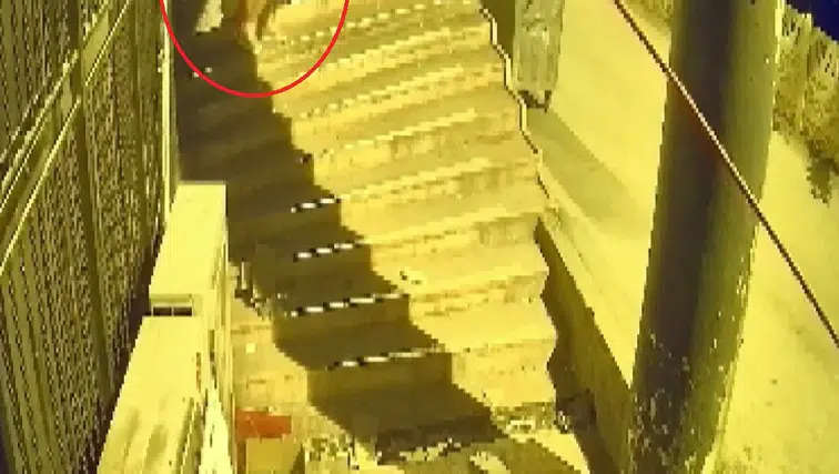 Böyle hırsızlık görülmedi: Dükkân sahibi şok oldu