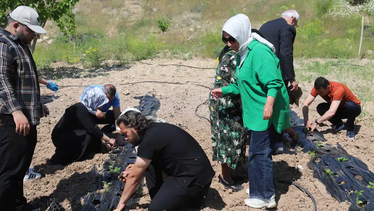 Konya'nın ulu çınarları sebze bahçesine bereket dikti