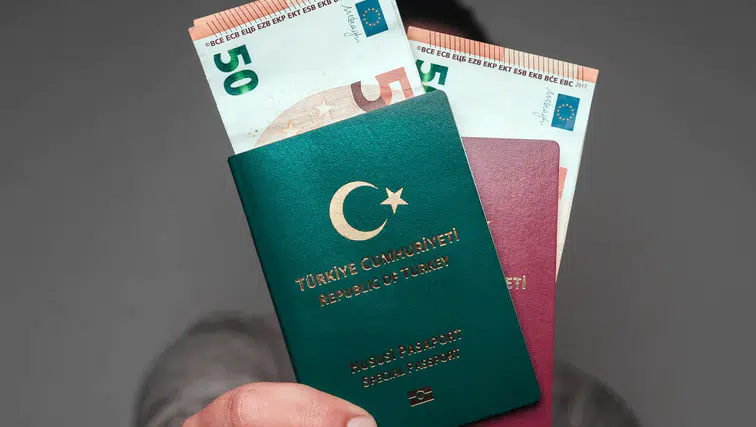 Kimler, hangisini, nasıl alıyor: Pasaportta yeni dönem
