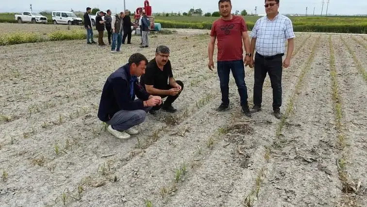 Konya'da yatırımcısını zengin edecek 14 alan: Kısa vadede üretim yüksek kazanç