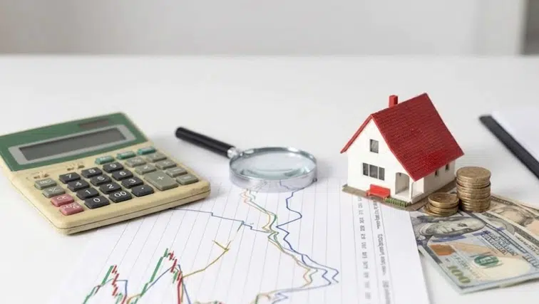 Varlık Koruma (Asset Protection) Nedir?