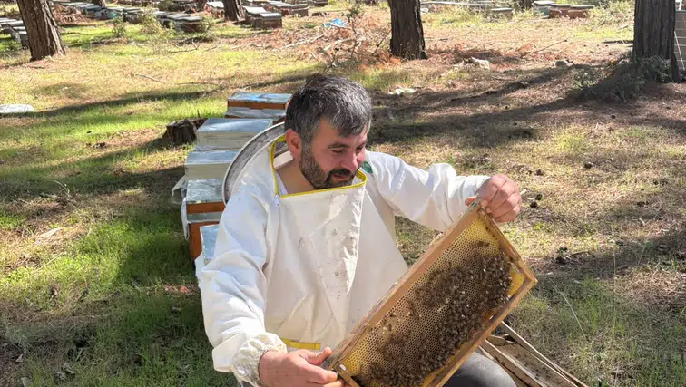 Mevzuata uygun her bal, en kaliteli bal mı: Bal uzmanından tavsiyeler
