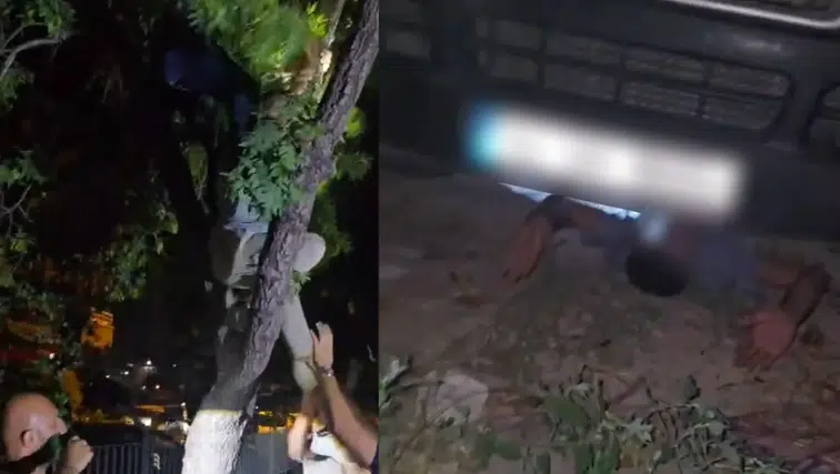 Konya'da arananların yakalandıkları yerler pes dedirtti: Ağaçta yakalandı