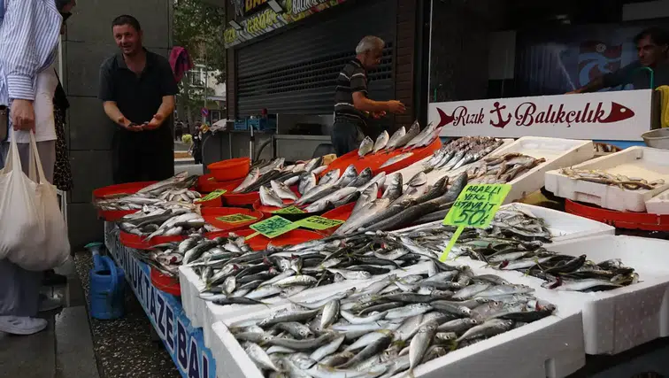 Av mevsiminin son gülerinde istavrit bolluğu