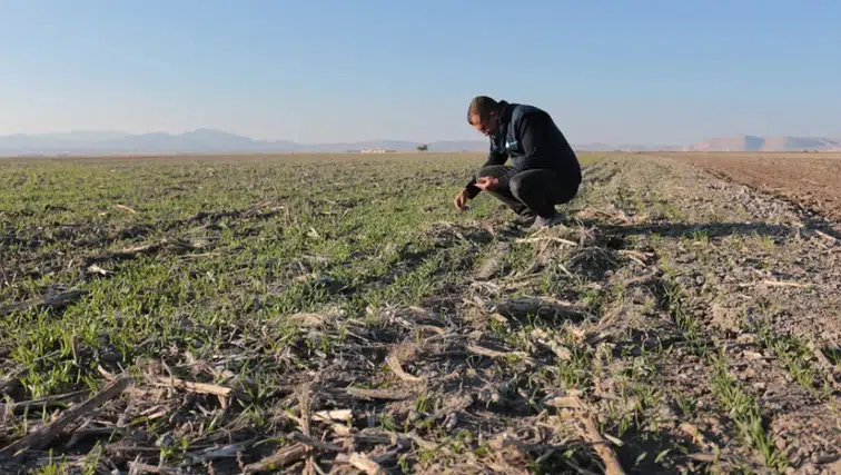 Konyalı çiftçilerden tarımda yeni bir anlayış talebi: Toprak bozuluyor, su kireniyor