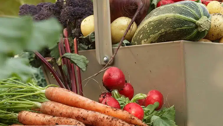 Gıda satışında "turuncu etiket" dönemi: O sertifika mecburi olacak