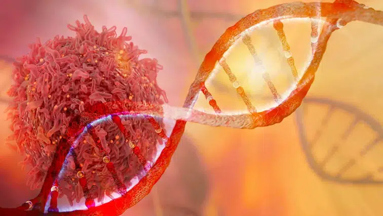 Uzmanlar Konya'dan uyardı: Gençlerde kanser varsa endişelenmek gerek