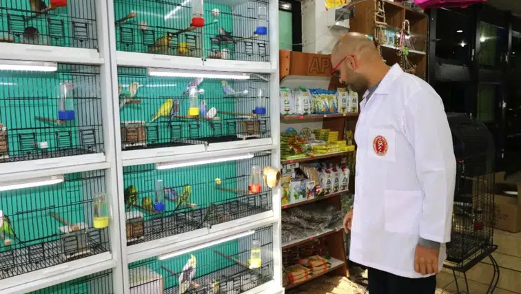 Mart ayında fiyatı en fazla artan ürünler herkesi şaşırttı