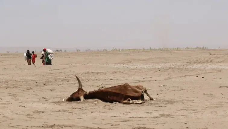 Süper El Nino ihtimali yükseliyor: Aşırı sıcaklar için uyarı