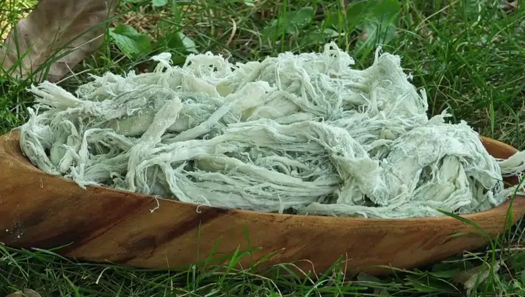 Küflü gıdalar yenilebilir mi: Milyonlarca gıda çöpe atılıyor