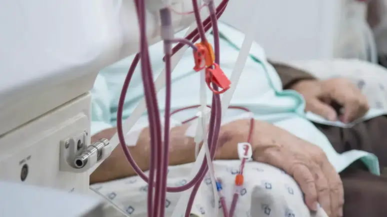 Organ naklinde devrim: Her kan grubuna uyan böbrek geliştirildi