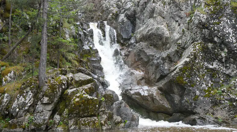 Ormanın içerisindeki şelale eşsiz manzarasıyla dikkat çekiyor
