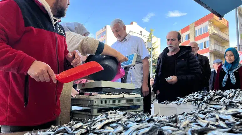 Ekmek fiyatına hamsi: 2 kilodan fazla alamıyorsun