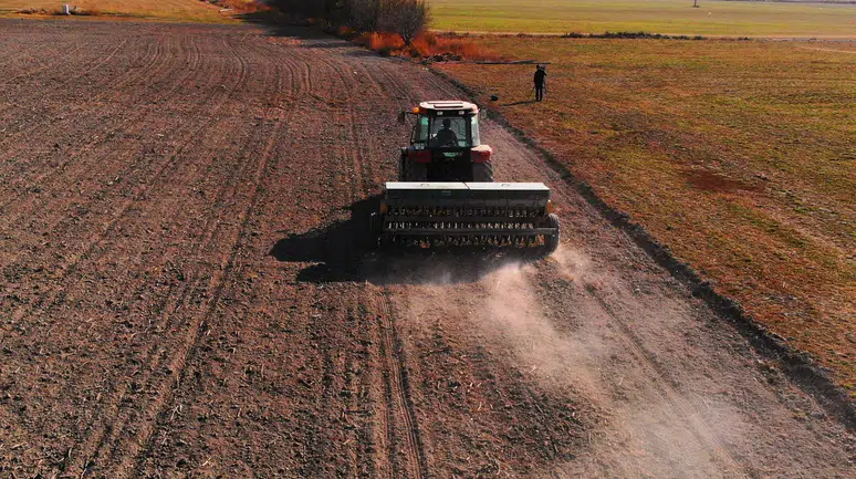 Konya Ovasında yağışlar kıraç arazilere can suyu oldu