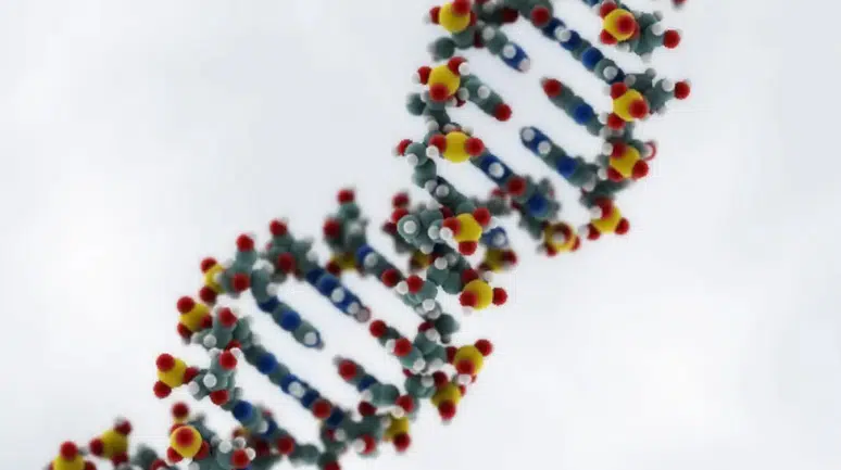 Cinayetler artık daha kolay aydınlatılacak: DNA devrimi