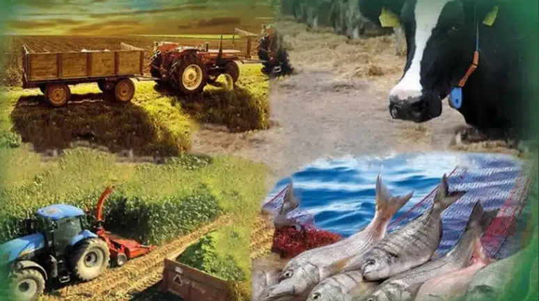 Ahır, samanlık, kavaklık, koruluk, taşlık, traktör, biçerdöver: Her şey sayılıyor