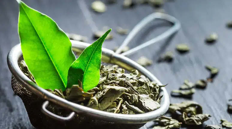 Uzmanından: Doğal enerji içeceği yeşil çay ve Türk kahvesi