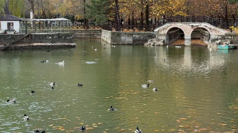 Konya’nın gözbebeği Kuğulu Park’ta sonbahar resitali