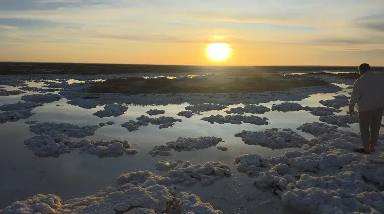 Konya'da görülmemiş manzara: Papatya şeklindeki tuzlar viral oldu
