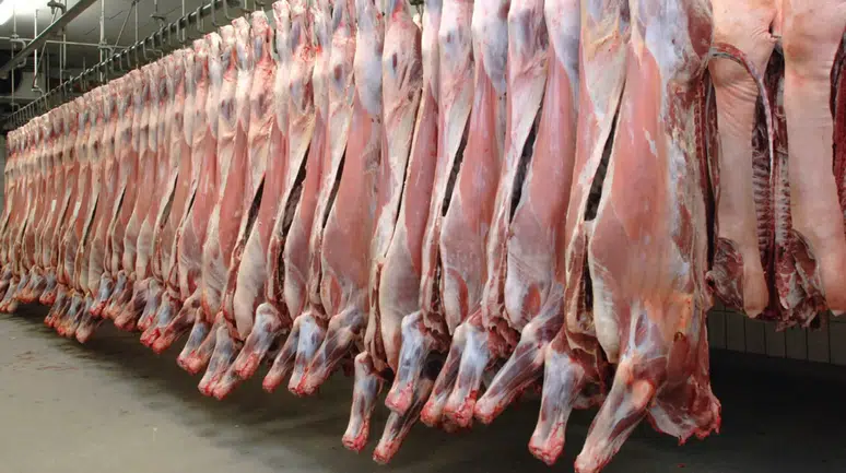 Kırmızı ette yükseliş sürüyor: Dana eti yüzde 12 zamlandı