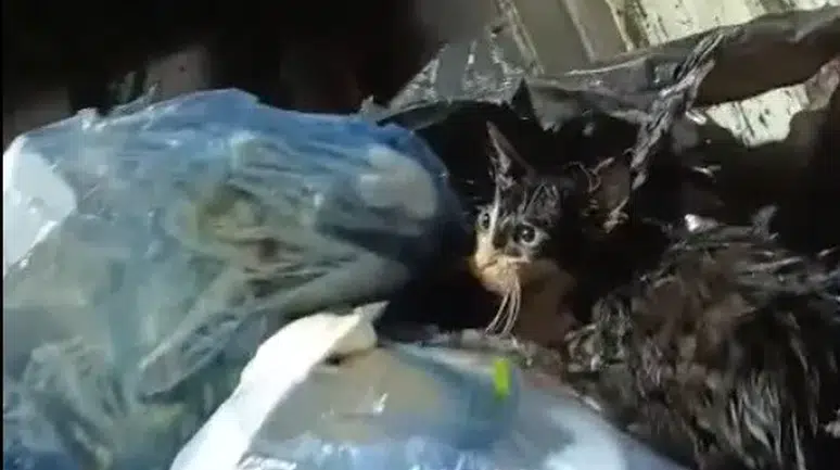 Temizlik işçilerinin dikkati hayat kurtardı: Poşetle çöpe atmışlar