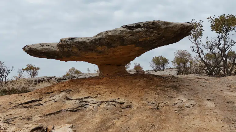 6 milyon yıllık kaya hayrete düşürüyor: Buzul Çağ kalıntısı