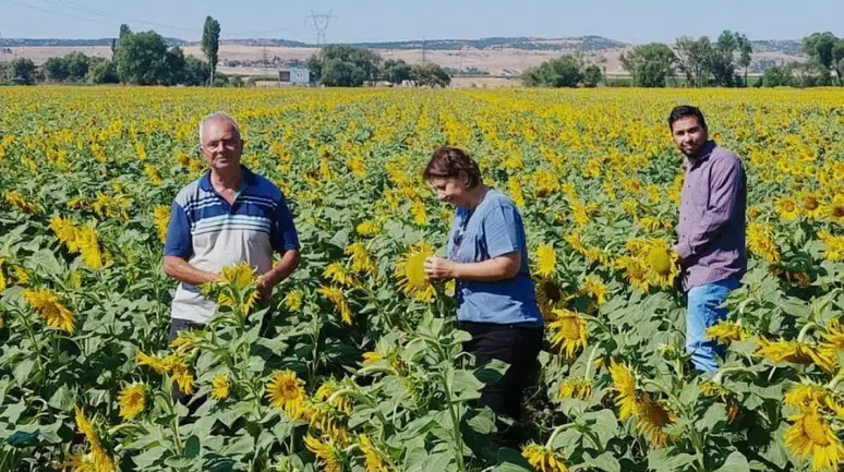 Konya'da bitkilere pasaport çıkarılıyor: Dünya ilk kez olacak