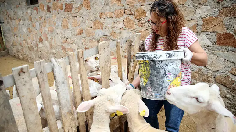 Konya tarımında tarihi değişiklik: Aile çiftlikleri geliyor