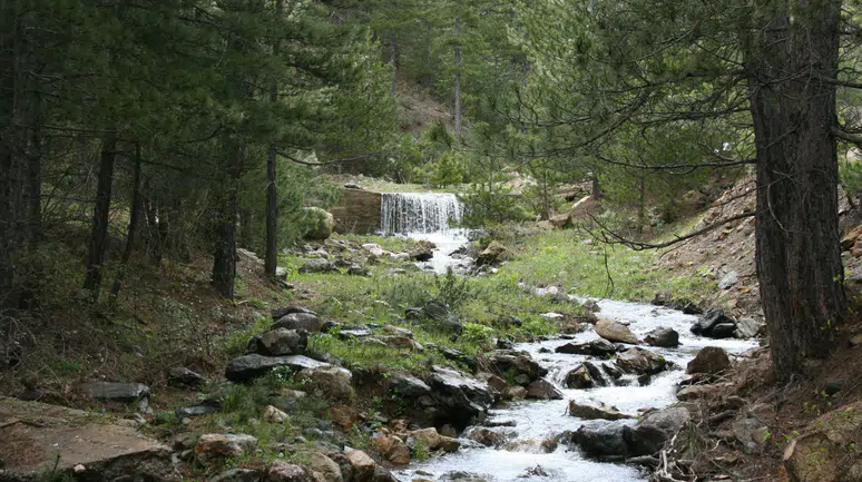 Konya'da kuruyan çeşmeler yeniden akmaya başladı: Anamas'a umut oldu
