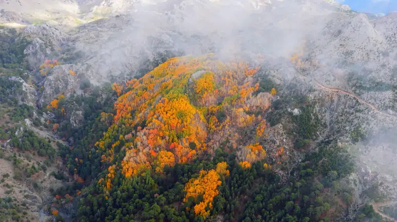 Titrek Kavak Ormanları bulutların arasında görsel şölen sunuyor