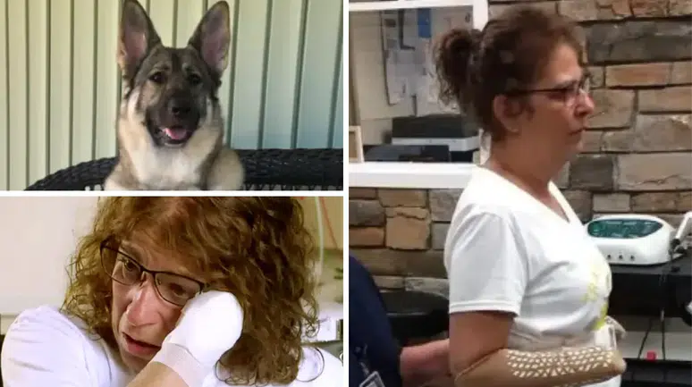 Evinde kedi ve köpek besleyenler dikkat: Genç kadının kol ve bacaklarını kestiler