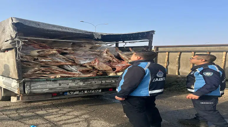 Sürücü bakın kendini nasıl savundu: Mide bulandıran görüntü