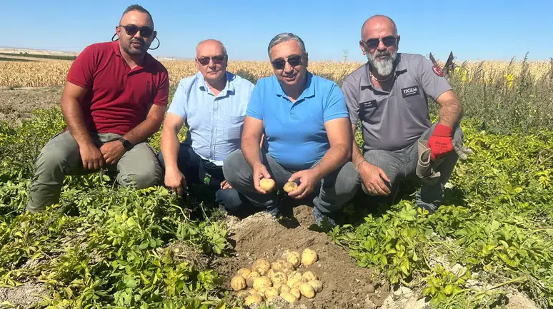 Konya’da cipslik patates üretildi: Sektöre “Uğur” getirecek