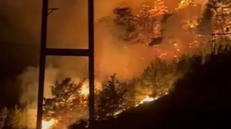 Alanya ve Aksu ilçelerinde orman yangını
