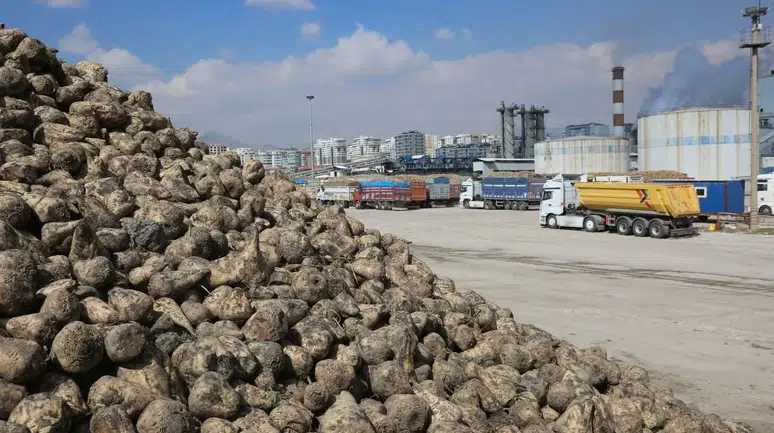 Konya'da üreticinin emeği korunacak: Başkan'dan pancar açıklaması