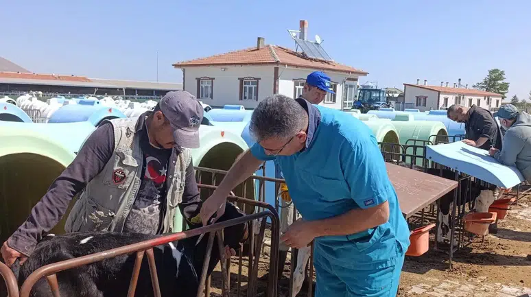 Konya'da tüberküloz hastalığına yönelik tarama yapıldı