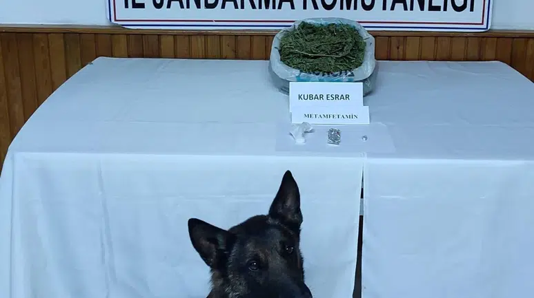 Konya’da jandarmadan uyuşturucu operasyonları: 11 tutuklama