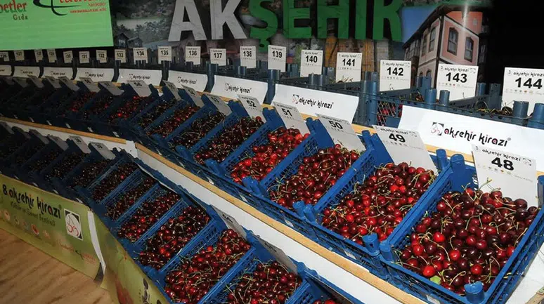 Konya büyük festivale hazırlanıyor: Kiraz Çiçeği için geri sayım