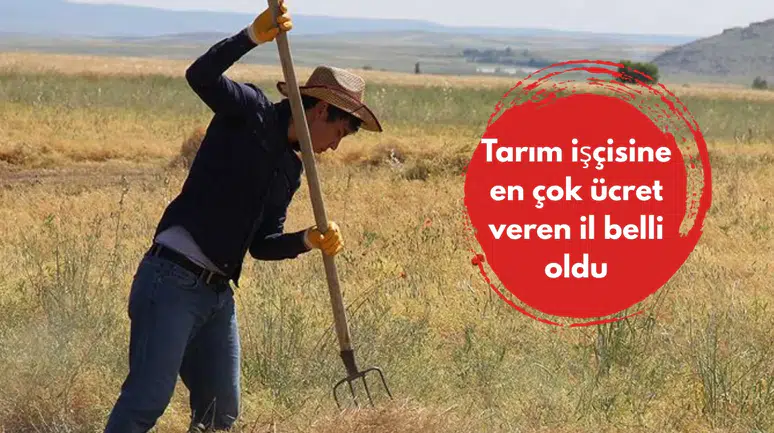 Tarım işçisine en çok ücret veren il belli oldu