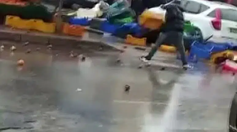 Sinir krizi geçiren manav ortalığı birbirine kattı