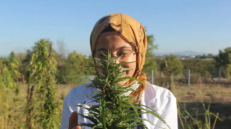 Konya'nın yasağı kalkmıştı: Üretimde yeni lider olması bekleniyor