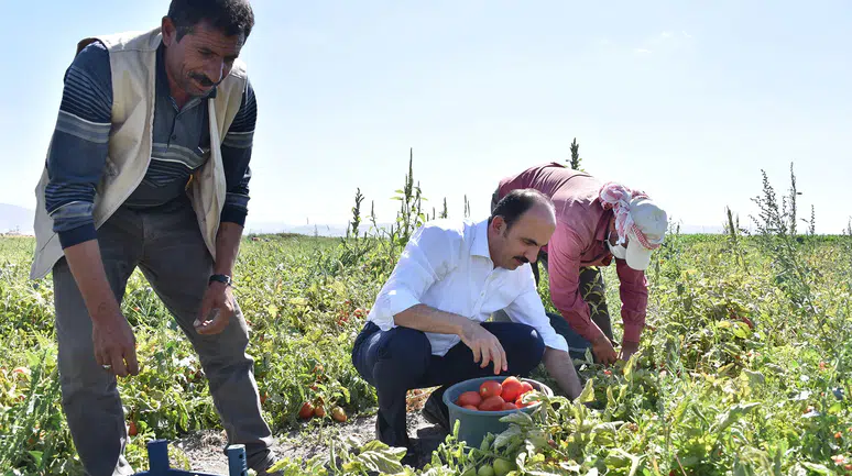 Konya üretimde zirveye yerleşti: Çiftçilere büyük destek sağlandı