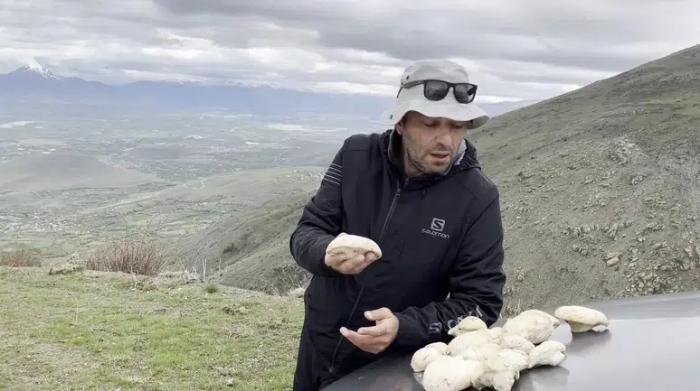 2 bin rakımda yetişiyor: Bu mantar altın değerinde
